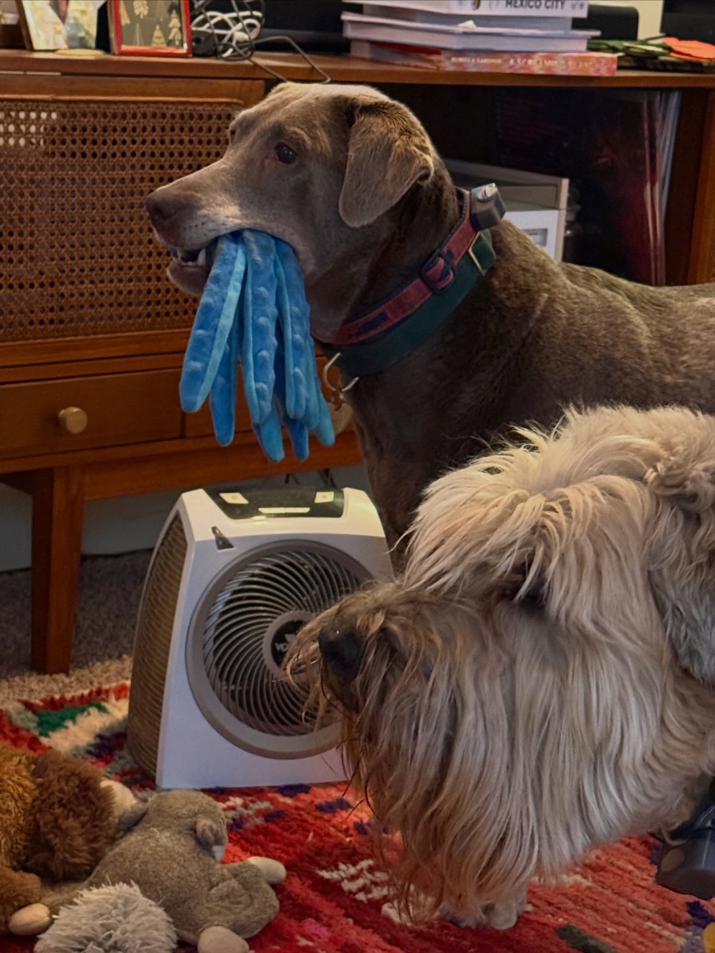 Double Profiles No. 1 - April 2026