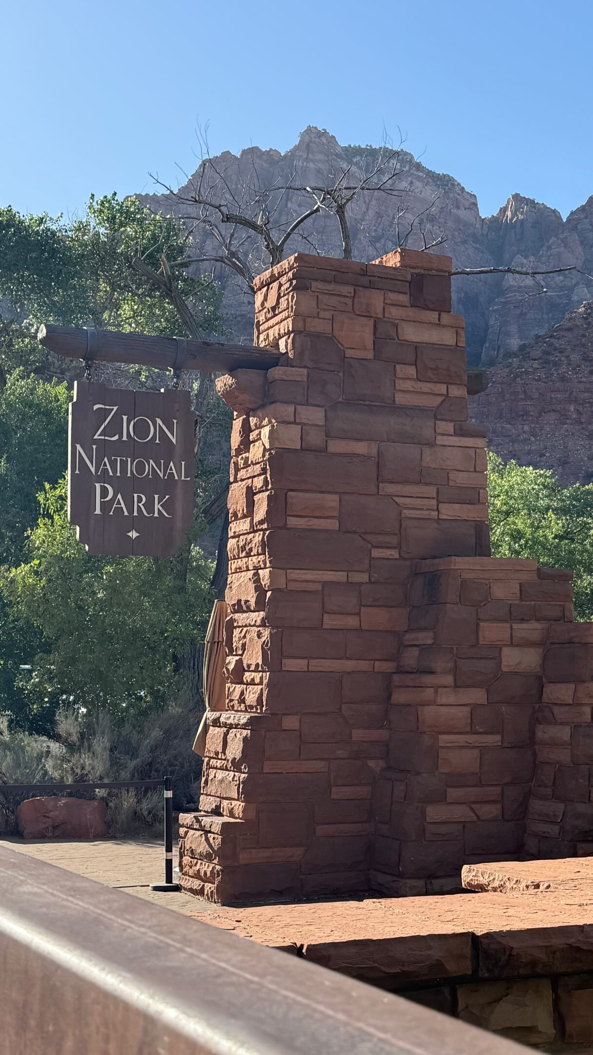 ZION NATIONAL PARK 🌵 Simply amazing. Got an early start, but what people said was true the first shuttles were crowded. We walked up to ‘Disney-esque’ lines but there were double buses and they came quickly so only had to wait about 30min and it was cool in the morning, around 70, but don’t worry it heated up to 108 midday but by then we were having our first 🍺🍷. It’s truly amazing the different landscapes of our nation. It was also so cool to be immersed in so many different languages, thinking about how this draws people and the vastness reminded us both of when we were in the Swiss Alps. Both stunning and both geological wonders, but so insanely different, too. Mom is still alive. #LizandMomDotheDesert