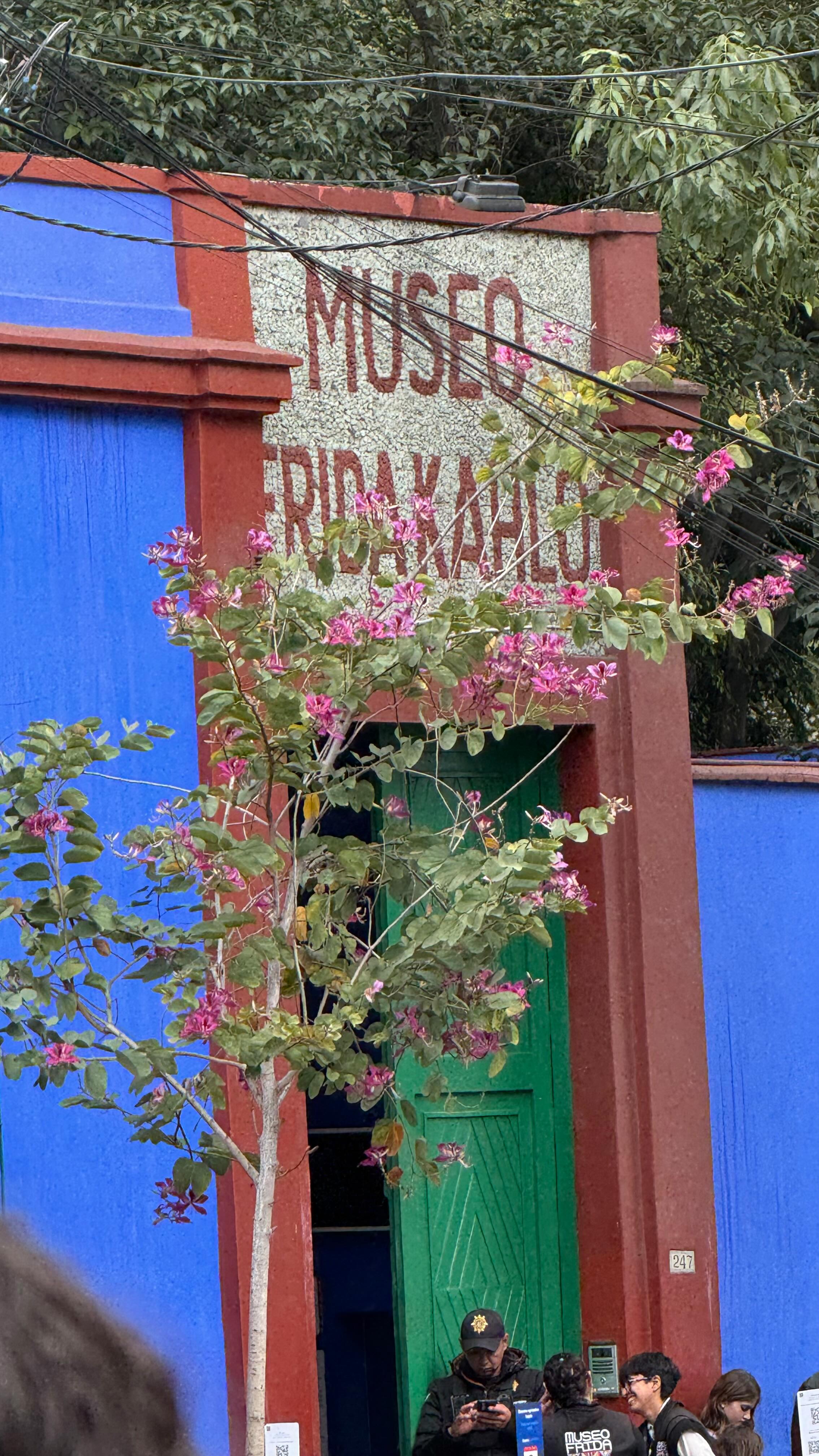This. This is one of the things I was most looking forward to on the trip. This one moment walking in to Frida’s courtyard is one I will never forget. This moment when I was describing to Blair what is has meant to me to be able to see where these phenomenal artists like Kahlo and Monet have CREATED their work, to see and feel what INSPIRED them has been life changing for me, and yes I cried, happy tears. I remember going to Italy as a 17 year old and walking through Rome, seeing the eye of the Pantheon, the Pieta, etc. that I had just read about in my first Art History class - mind blowing! But after so many classes, after soooo many years, and after sooooooo much life, and my own evolution, even believing that I am an artist myself, to have the opportunity and privilege to visit these, albeit busy, very personal spaces has been monumental for me. Even to walk in their steps for a little while felt special, and while all of the spaces are inspiring, it’s also a reminder, that they were just people. And they lived, and they made their lives what they wanted, both in their art and their surroundings. #lovelysomethingstravels #blizdocdmx
